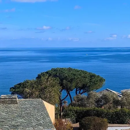 Daire Superb With Sea View, 200m From *