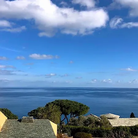 Daire Superb With Sea View, 200m From *