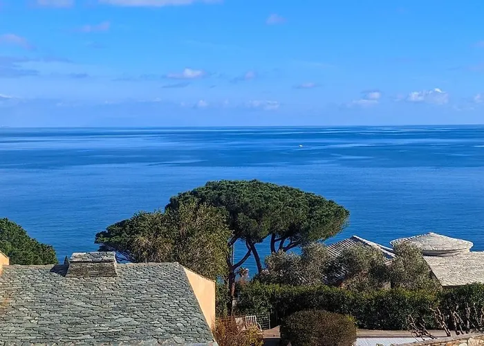 公寓 Superb With Sea View, 200m From *